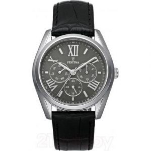 Часы наручные мужские Festina F16752/2