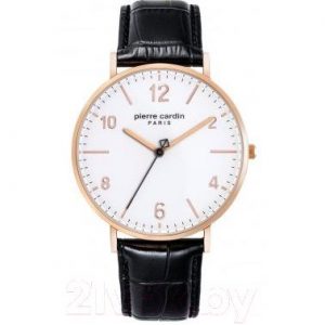 Часы наручные мужские Pierre Cardin PC902651F08