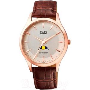 Часы наручные мужские Q&Q AA30J101Y