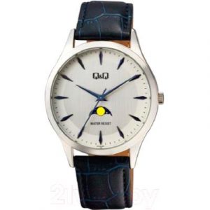 Часы наручные мужские Q&Q AA30J301Y