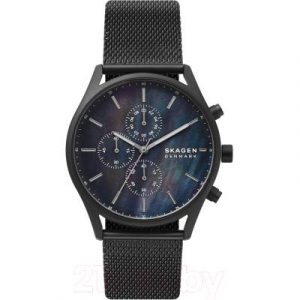 Часы наручные мужские Skagen SKW6651