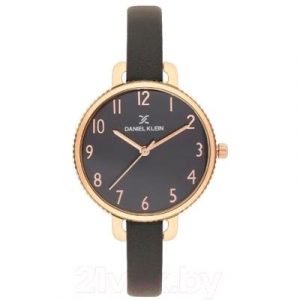 Часы наручные женские Daniel Klein 11793-6