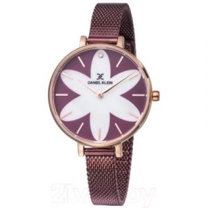 Часы наручные женские Daniel Klein 11811-4