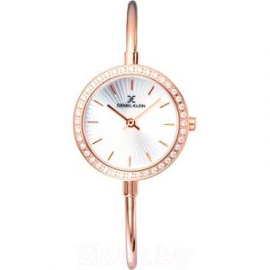 Часы наручные женские Daniel Klein 11931-6
