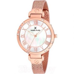 Часы наручные женские Daniel Klein 12073-3