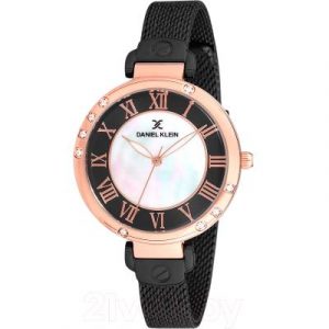 Часы наручные женские Daniel Klein 12073-5