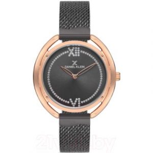 Часы наручные женские Daniel Klein 12695-4