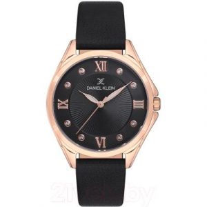 Часы наручные женские Daniel Klein 12720-6