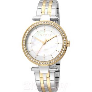 Часы наручные женские Esprit ES1L153M2055