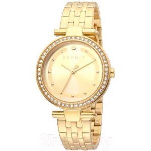 Часы наручные женские Esprit ES1L153M2065