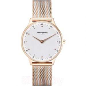 Часы наручные женские Pierre Cardin PC902722F204