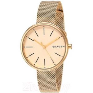 Часы наручные женские Skagen SKW2614