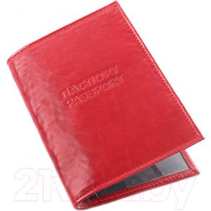 Обложка на паспорт Galanteya 33907 / 1с1016к45
