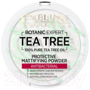 Пудра компактная Eveline Cosmetics Botanic Expert Матирующая антибактериальная №001 Transparent