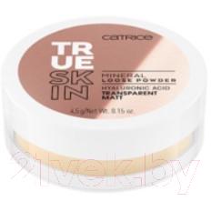 Пудра рассыпчатая Catrice True Skin Mineral Loose Powder тон 010