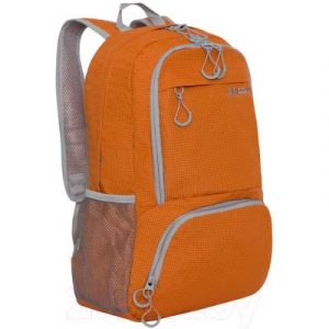 Рюкзак Grizzly RQ-005-1