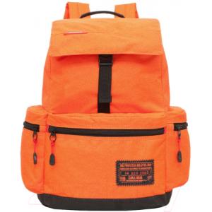 Рюкзак Grizzly RQ-921-6