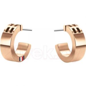Серьги Tommy Hilfiger 2780417
