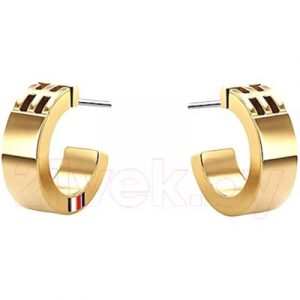 Серьги Tommy Hilfiger 2780418