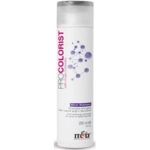 Шампунь для волос Itely Procolorist Silver Shampoo