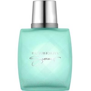 Туалетная вода Burberry Summer for Men