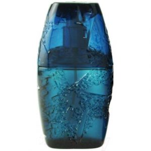 Туалетная вода Guy Laroche Horizon Pour Homme