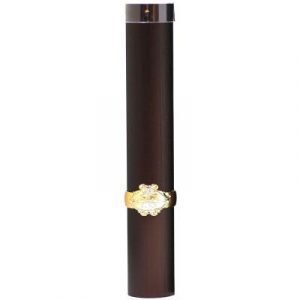 Туалетная вода Remy Latour Cigar Essence DE Bois Precieux