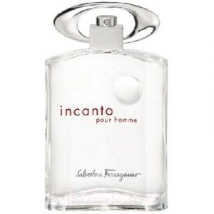 Туалетная вода Salvatore Ferragamo Incanto Pour Homme