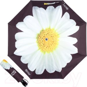 Зонт складной Moschino 7006-OCA Giant Daisy Black
