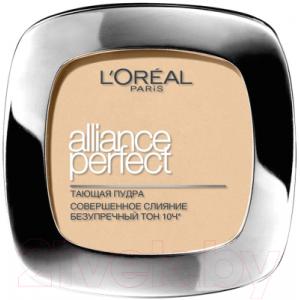 Пудра компактная L'Oreal Paris Alliance Perfect D5