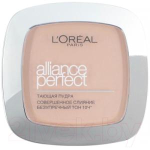 Пудра компактная L'Oreal Paris Alliance Perfect R3